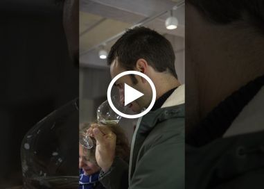 Venue au Domaine du Père Benoit  de Raimonds Tomsons, Meilleur Sommelier du Monde 2023.