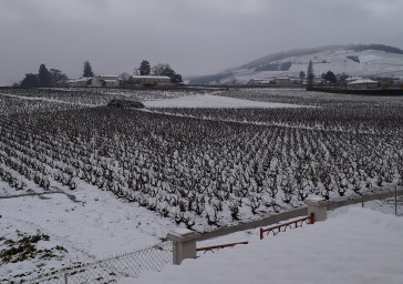 La neige s&#039;est invité sur le Mont Brouilly