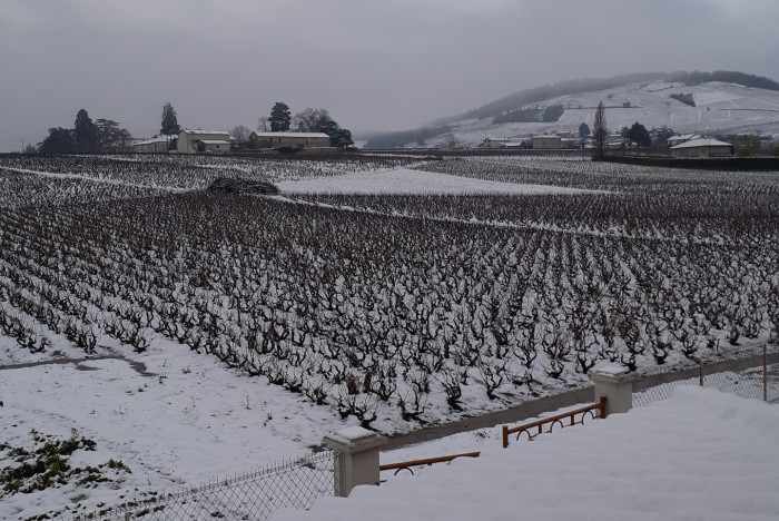 La neige s&#039;est invité sur le Mont Brouilly