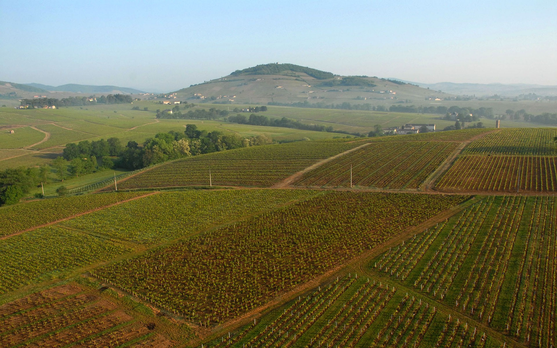 Domaine du Père Benoit in Saint-Lager - Beaujolais wines