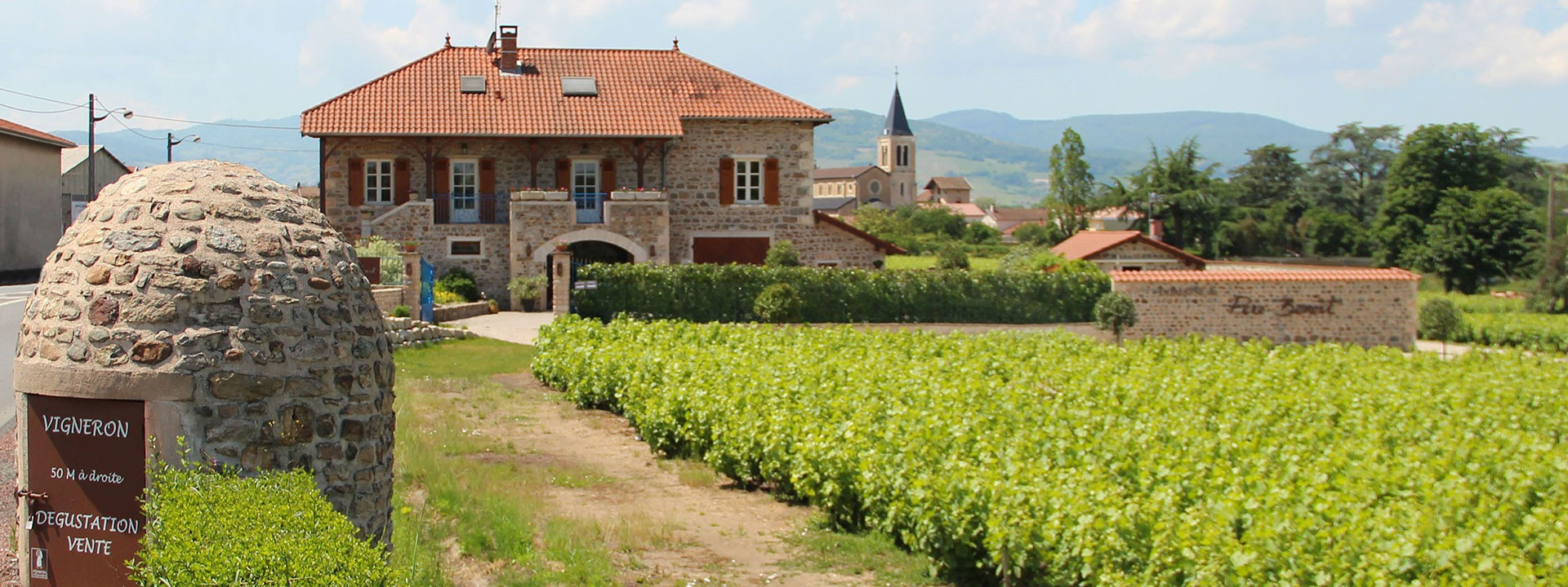 Domaine du Père Benoit à Saint-Lager - Vins du beaujolais