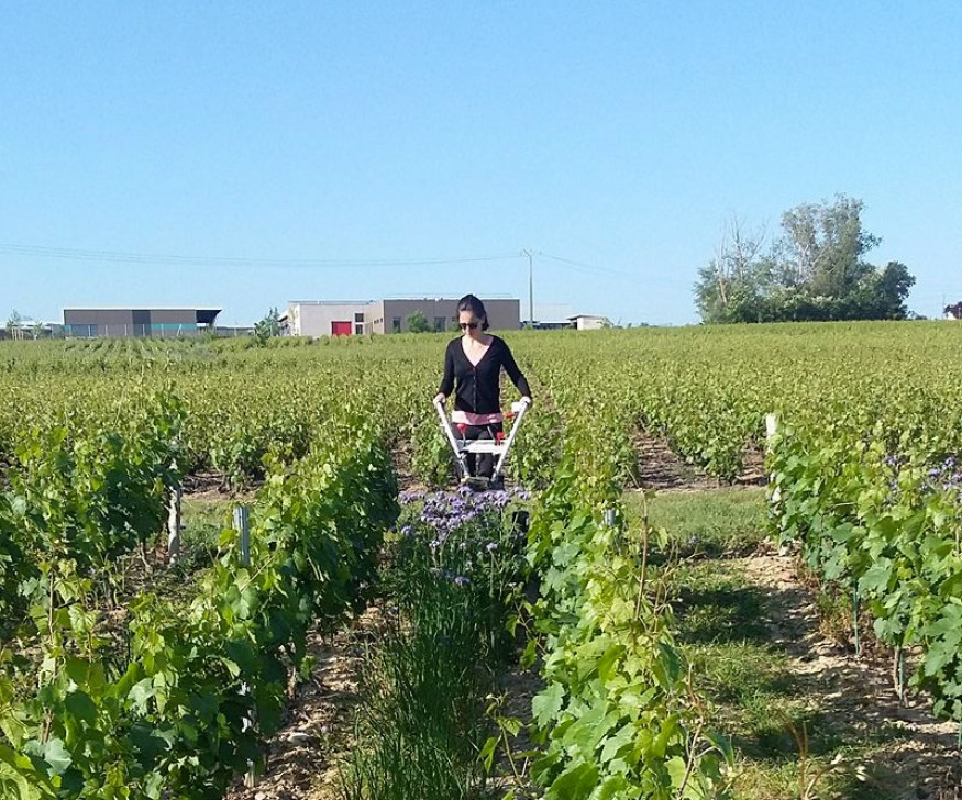 Entretien des sols et de la vigne