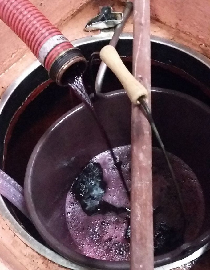 Vinification