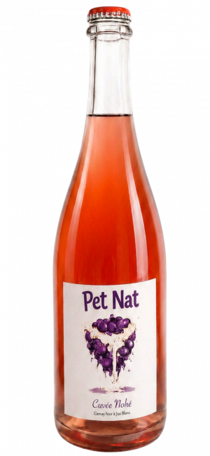  Pet' Nat - Cuvée Nohé - Domaine du Père Benoit