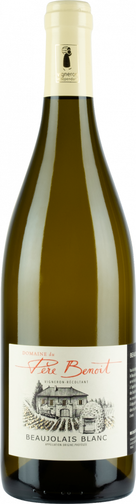 Beaujolais White wine - Domaine du Père Benoit